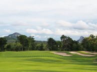 Phoenix Gold Golf & Country Club - Green